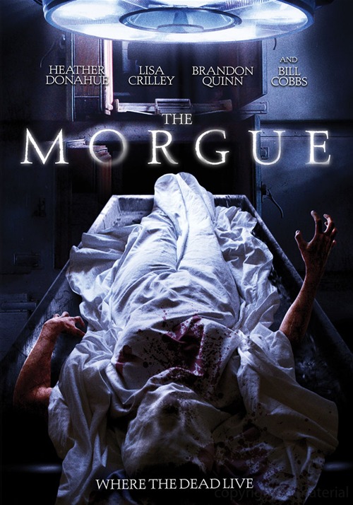 The Morgue + 18
